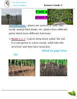 Scince 2 Grade 3.pdf